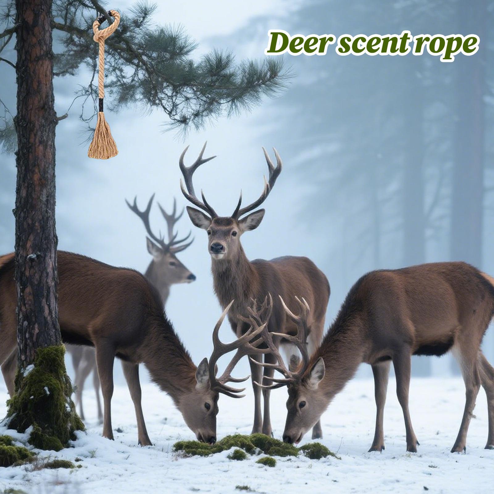 Deer Scent Rope Long-Lasting E – Deer Attractant Scent recenzja i cena