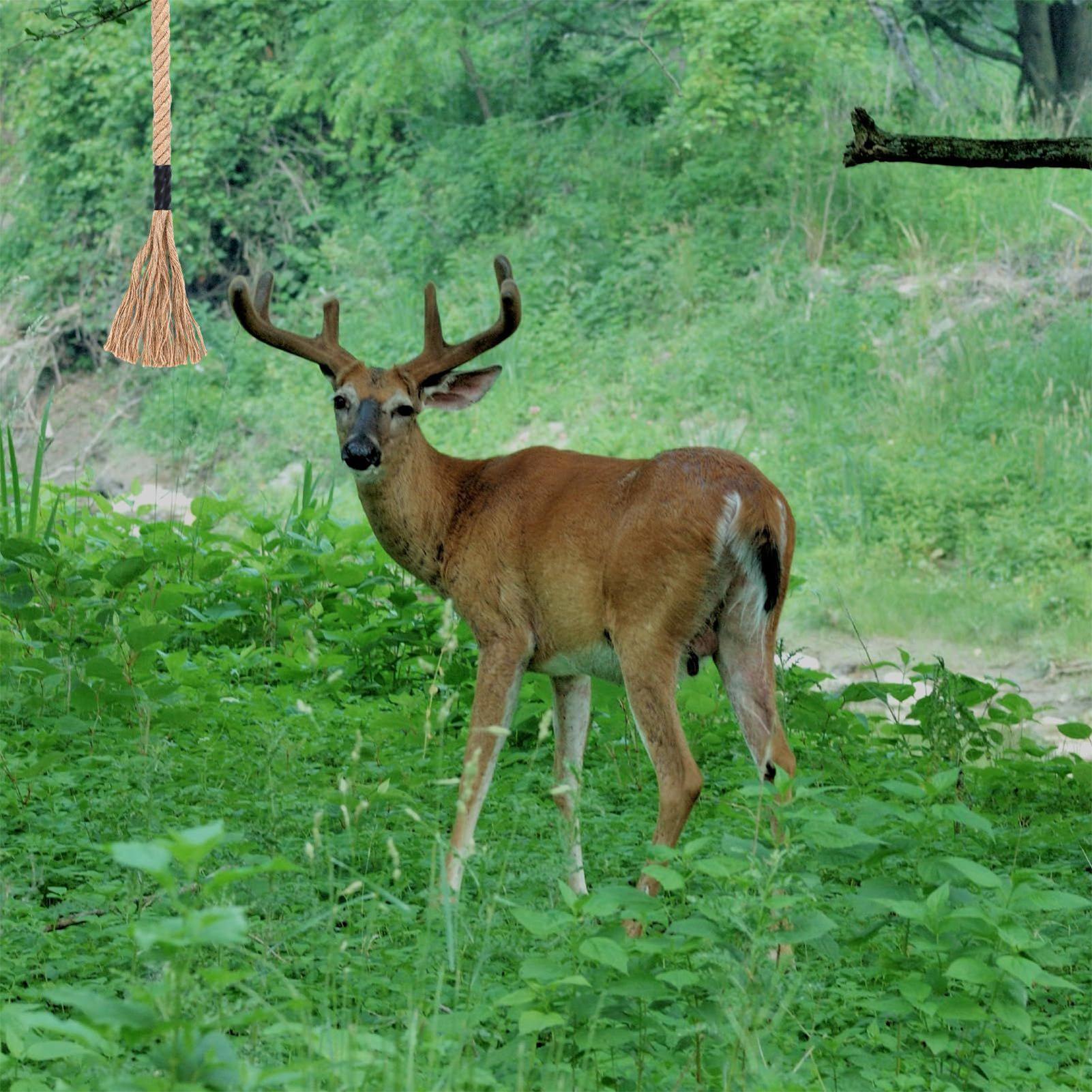 Deer Scrape Effective Long-Las – Deer Attractant Scent recenzja i cena